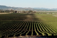 View from the terrace.jpg
